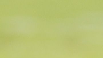 Ryan Fitzpatrick Miami