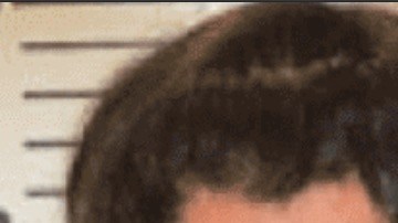 Aaron Schwartz y Petie Schwartz