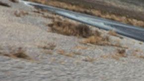 Ford Mustang Shelby.