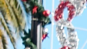 The rock familia covid