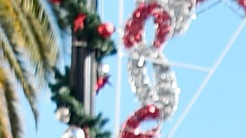 The rock familia covid