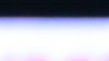 Toño rodríguez oso