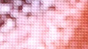 El video rápidamente se viralizó en redes sociales.