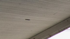 El 27 de agosto, los oficiales rescataron a otros 39 menores.