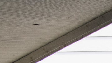 El 27 de agosto, los oficiales rescataron a otros 39 menores.