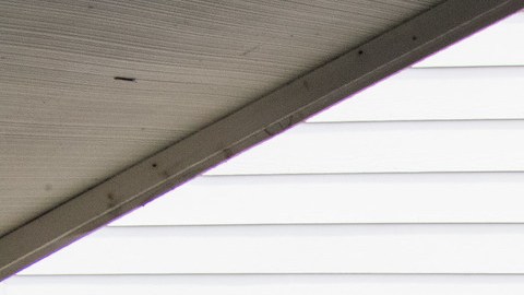 El 27 de agosto, los oficiales rescataron a otros 39 menores.