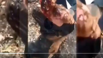 VIDEO: Sicarios del CJNG así quemaron rostro de rival; el hombre pedía morir