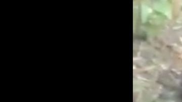 VIDEO: Así dejaron a jovencita indígena tras matarla brutalmente, le propinaron 9 balazos