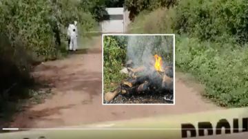 VIDEO: Hallan cuerpos de 2 jovencitas quemadas en tierras del Chapo Guzmán