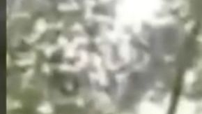 VIDEO: Narcos interrogan y descuartizan a hombre tras confesar supuestos crímenes