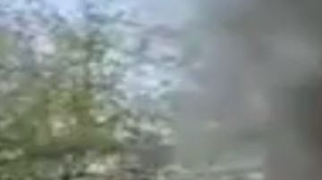 VIDEO: Narcos queman vivo a supuesto integrante de Grupo Delta
