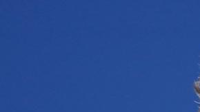 El alemán Alexander Zverev, tuvo que esforzarse para derrotar al croata Borna Coric.