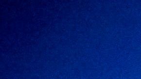 Manifestantes protestaron en la estación del LASD de Westmont.