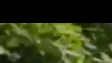Captura del video difundido por las autoridades para encontrar a los agresores.