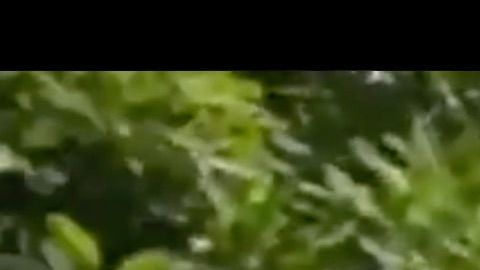 Captura del video difundido por las autoridades para encontrar a los agresores.