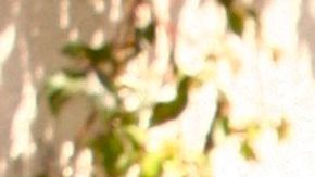 Andrés García admitió que Luisito Rey le pidió apoyo para matar a la mamá de Luis Miguel, Marcela Basteri: "Me pidió que lo ayudara a matarla".