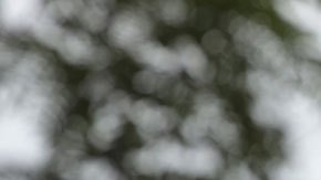 Applebee's quiere que los niños vuelvan a clases bien alimentados.