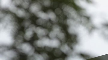 Applebee's quiere que los niños vuelvan a clases bien alimentados.