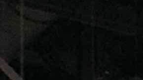 Los organizadores de Art Basel se muestran satisfechos por la gran afluencia de público a la feria.