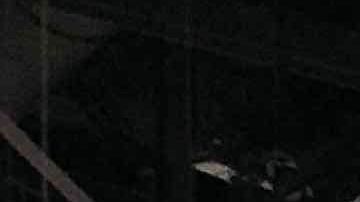 Los organizadores de Art Basel se muestran satisfechos por la gran afluencia de público a la feria.