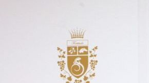 anna kournikova camioneta