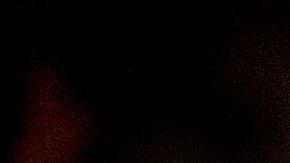 El suceso se da en medio de la agitación social contra el racismo y la brutalidad policial.