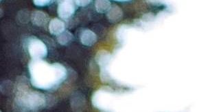 Sofía Aragón, participante de Miss Universo 2019.