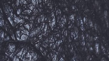 BMW M4. / Foto: Pixabay.