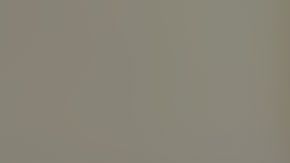 Burnian Bedford ya ha sido arrestado.