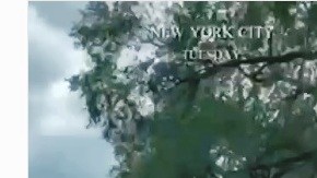 Nada sorprende en NYC