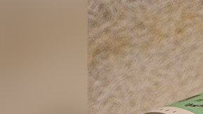 Una nueva propuesta de un grupo de legisladores encienda la esperanza de más cheques de estímulo.