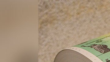 Una nueva propuesta de un grupo de legisladores encienda la esperanza de más cheques de estímulo.