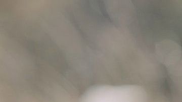 Quizá estas muestras de afecto no vuelvan.