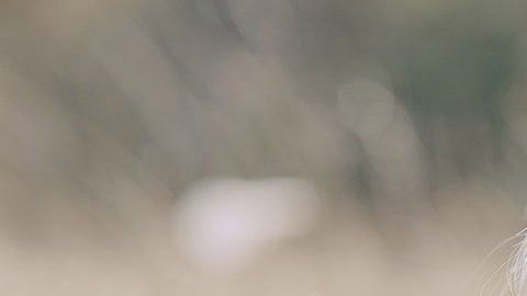 Quizá estas muestras de afecto no vuelvan.