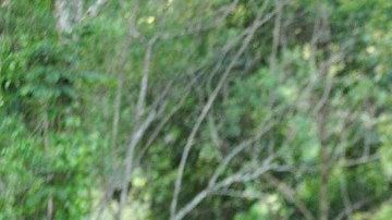 Lo más importante tras un accidente es no entrar en pánico, tratar de conservar la calma y solicitar ayuda inmediatamente.