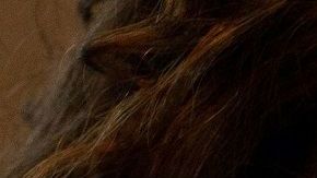 sexo