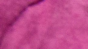 Funcionarios de FDA se han comprometido a no lanzar vacuna que no esté probada.