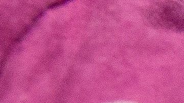 Funcionarios de FDA se han comprometido a no lanzar vacuna que no esté probada.