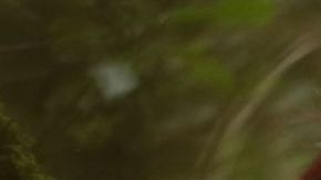 'Enemigo Íntimo' de Telemundo y 'Dulce Ambición' de Univision.