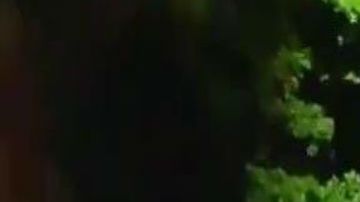 La Fiscalía dijo que el tiroteo fue un bar y están buscando a los responsables.