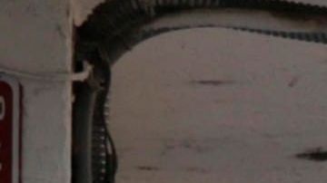 Muchos mexicanos dependen de las remesas que envían los mexicanos de EE.UU. (EFE)