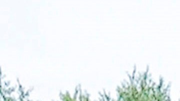 Protestas en Kenosha Wisconsin