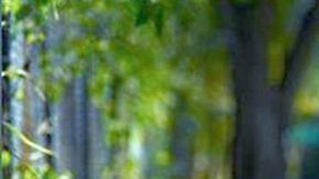 Zelina Vega, luchadora profesional y cosplayer.