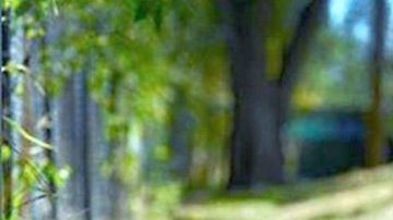 Zelina Vega, luchadora profesional y cosplayer.