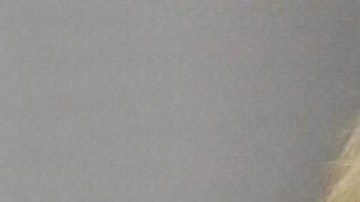 Abuso sexual menores