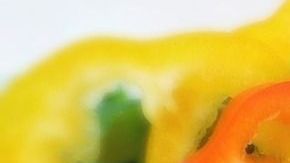 Alimentos.