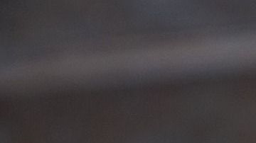 Rana de la suerte china.