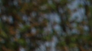 Los resultados del Censo ayudan a la representación política. / Foto: Getty.