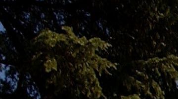 The California state Capitol building