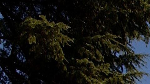 The California state Capitol building